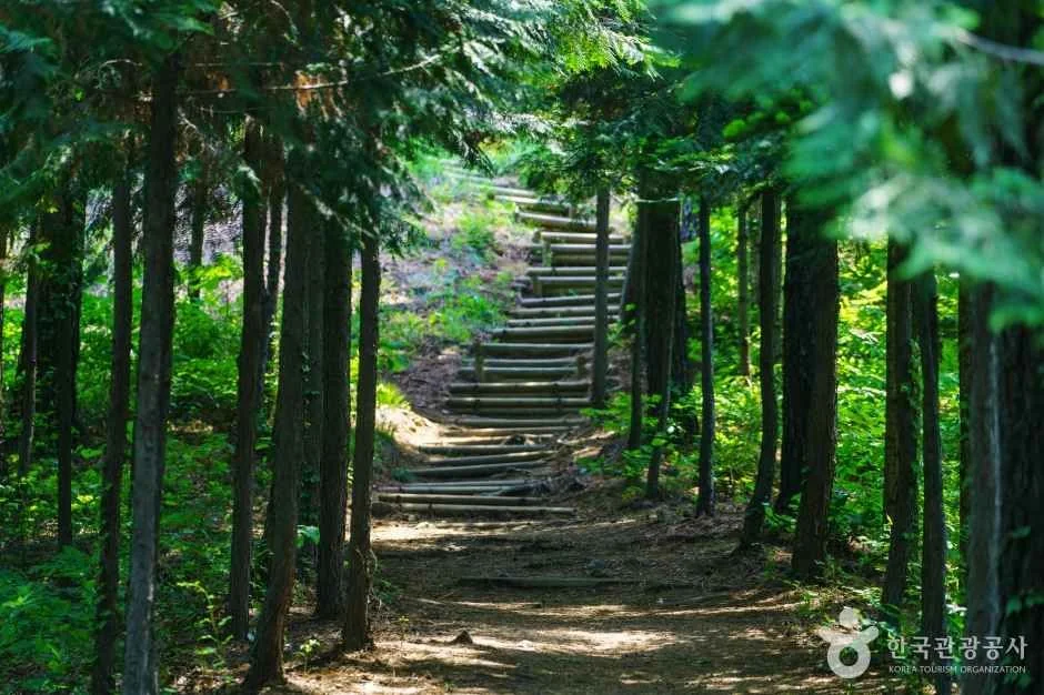 용인 마구산·부용산 연계 코스