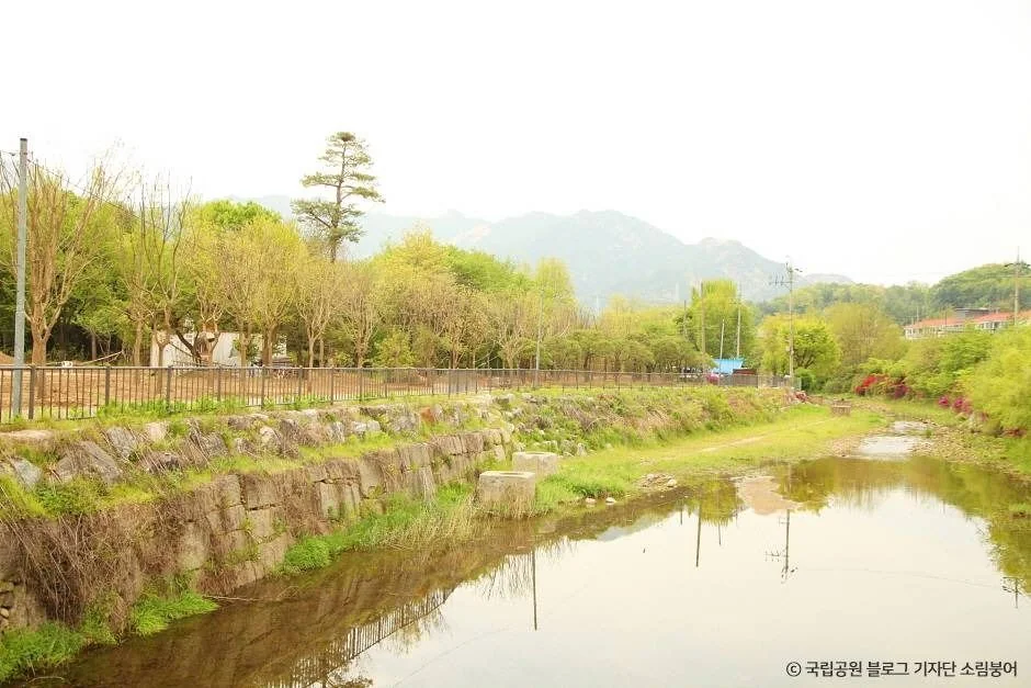 고양 앵봉·노고산 싱글 코스