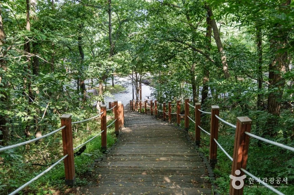 고양 아마존·견달산 싱글 코스