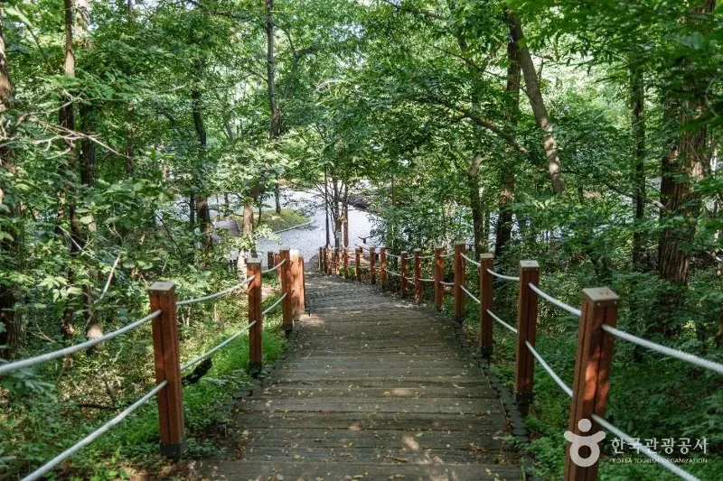 MTB 싱글 코스