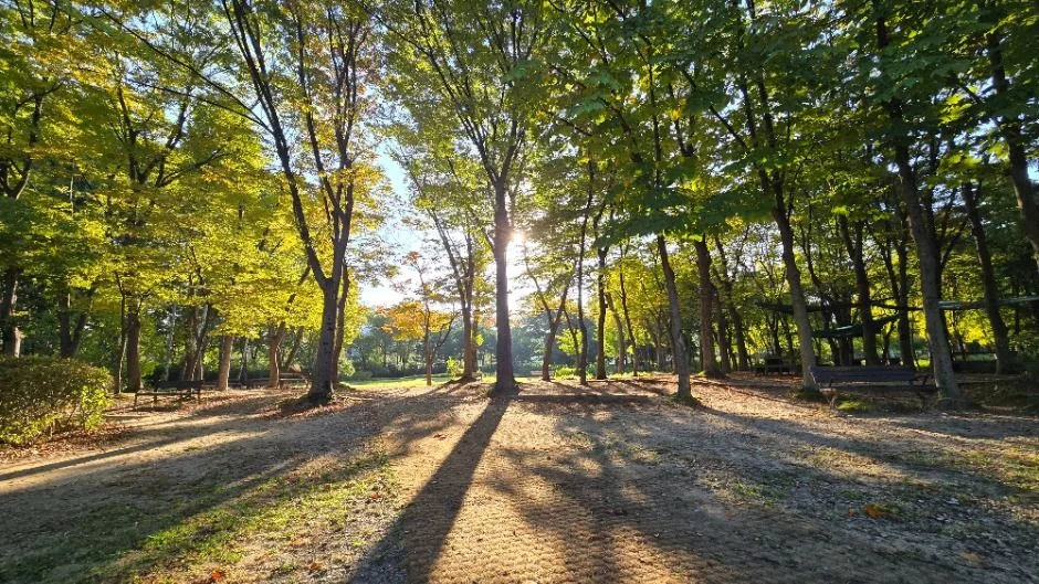 우면산 7코스