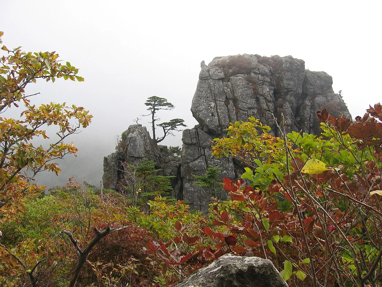 백두대간 지리산권 종주 1코스