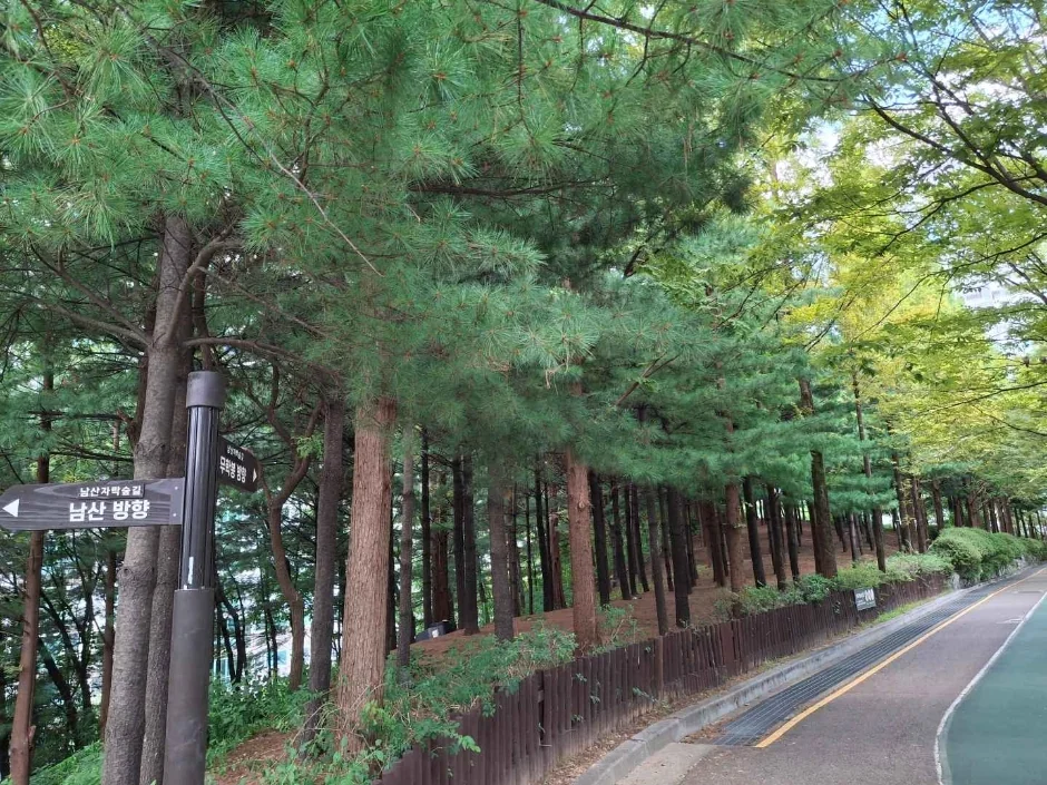 큰매봉 2코스
