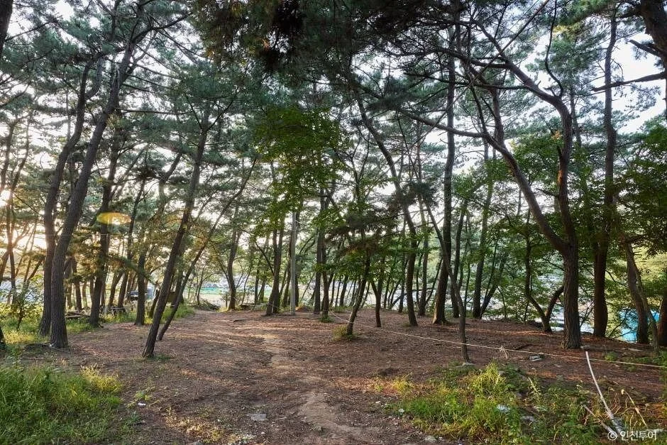 호룡곡산 2코스