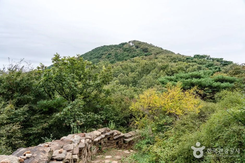 정족산 1코스