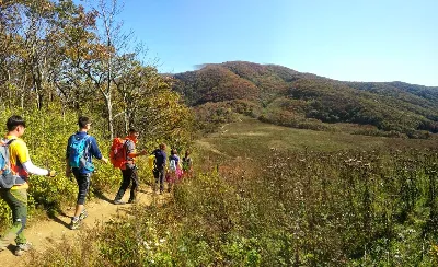 오대산 소금강산코스 사용자 사진 2