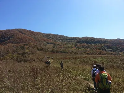 오대산 소금강산코스 사용자 사진 3