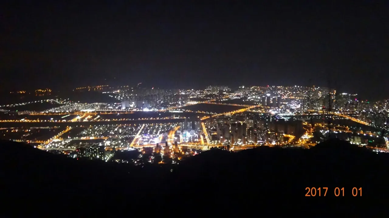 금백종주