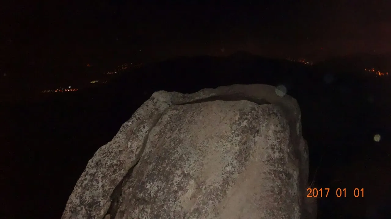 금백종주