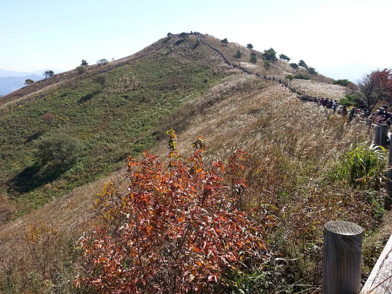 민둥산(정선)