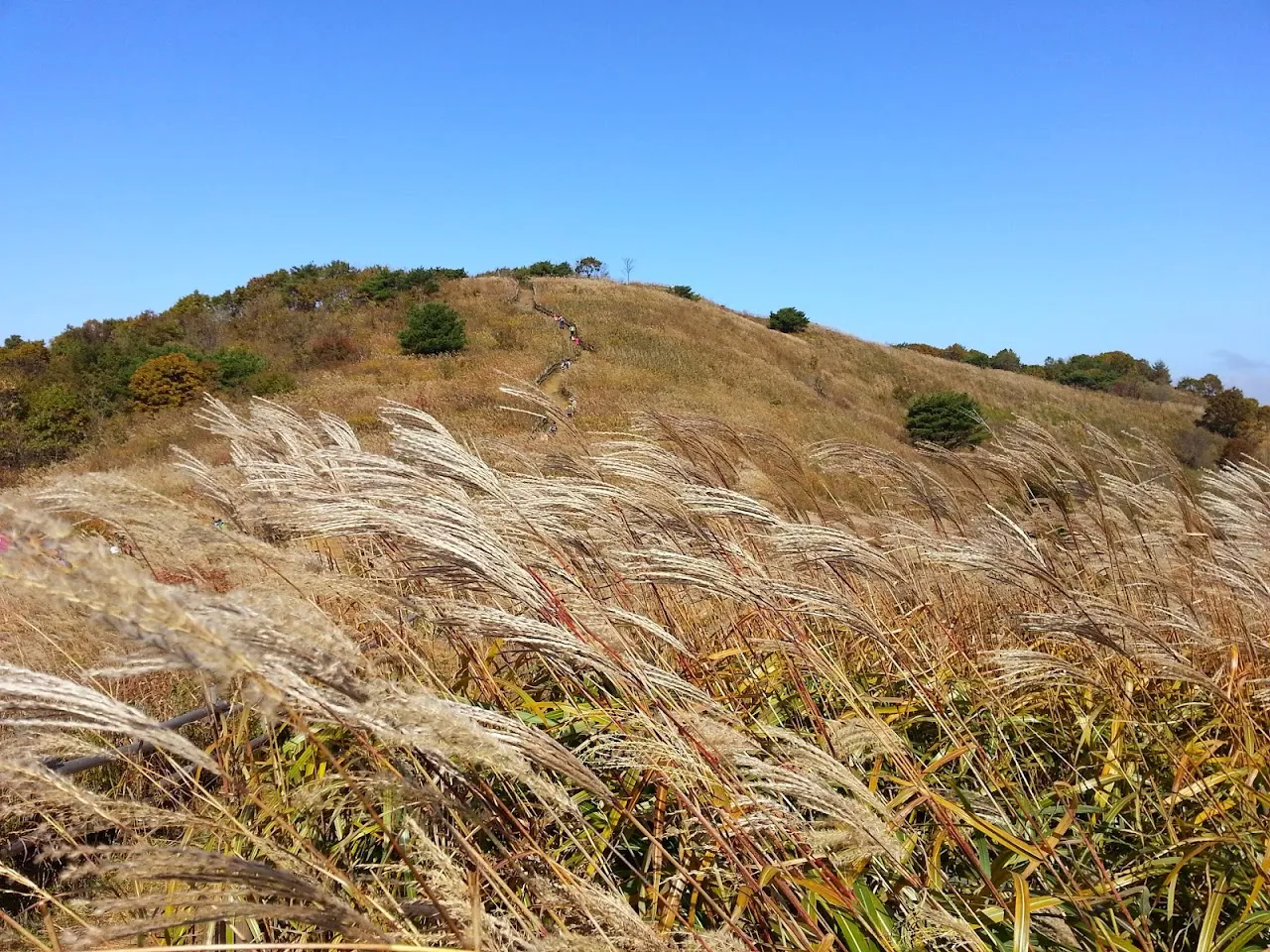 민둥산(정선)