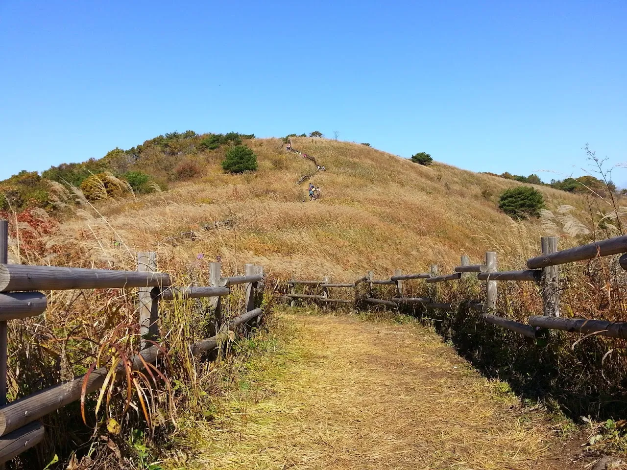 민둥산(정선)