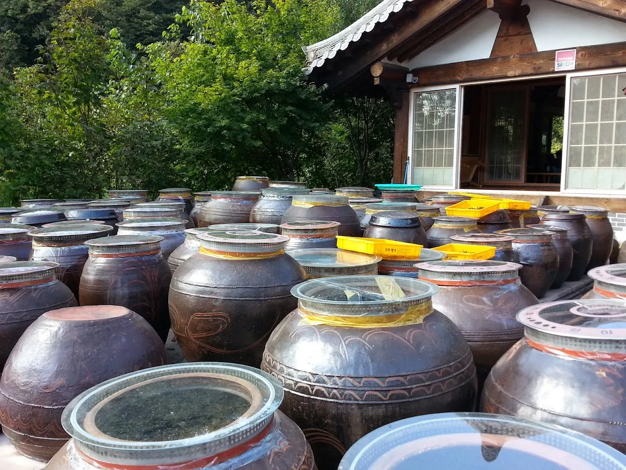 칠갑산 사진