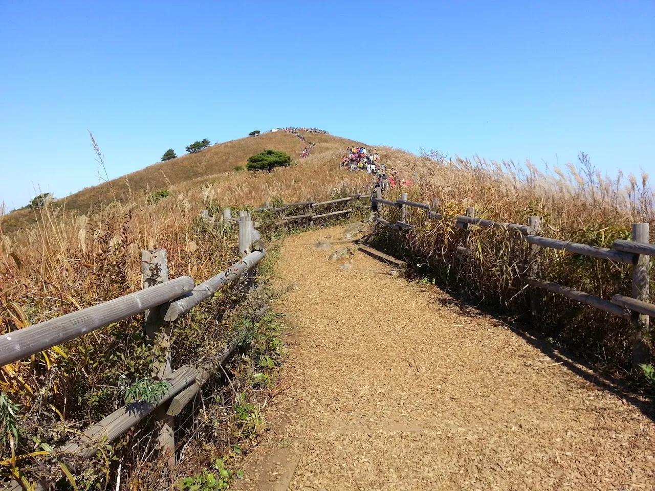 민둥산(정선)