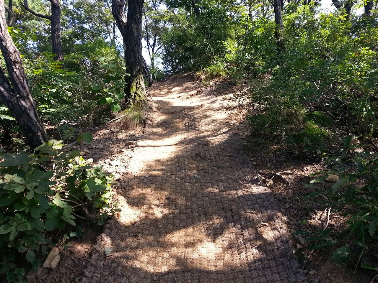 칠갑산 사진