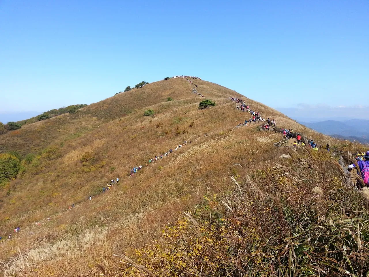민둥산(정선)