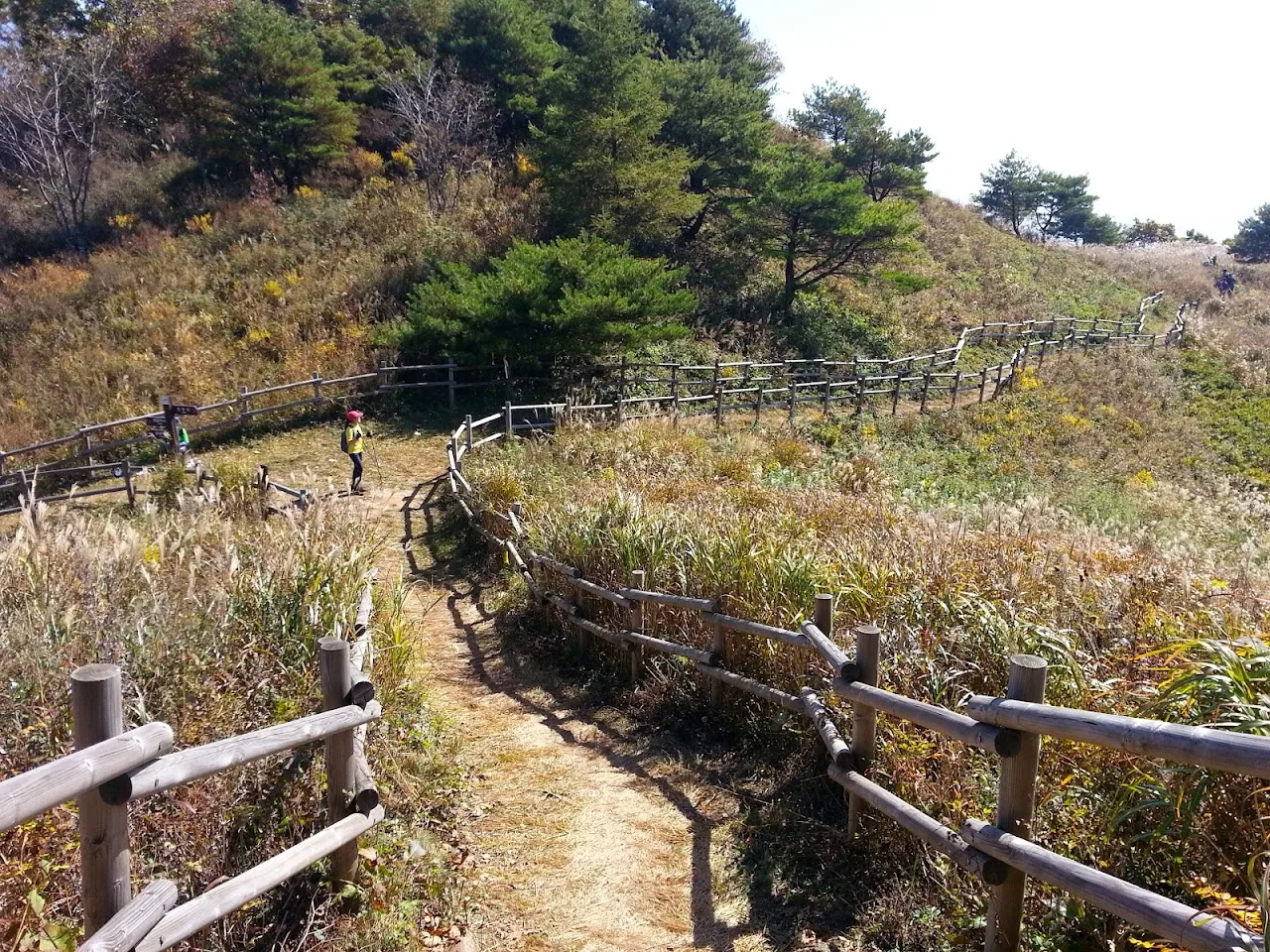 민둥산(정선)