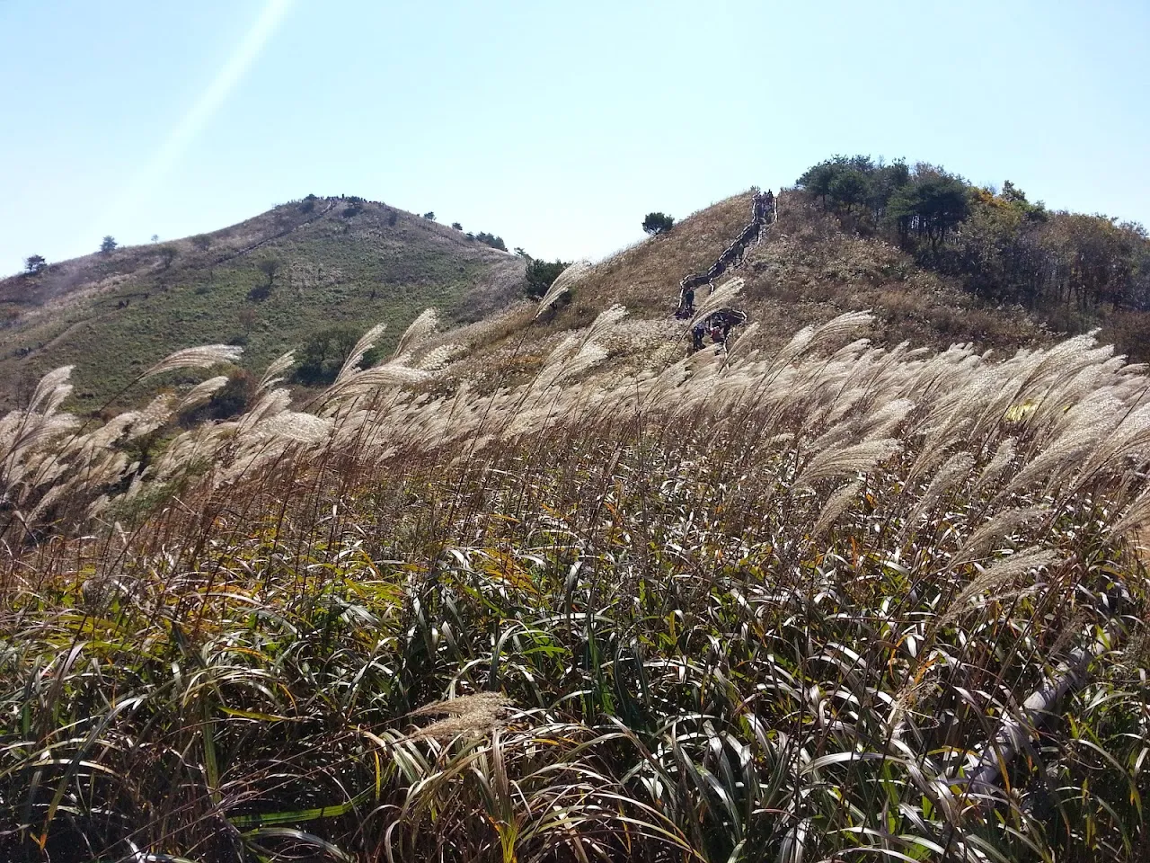 민둥산(정선)