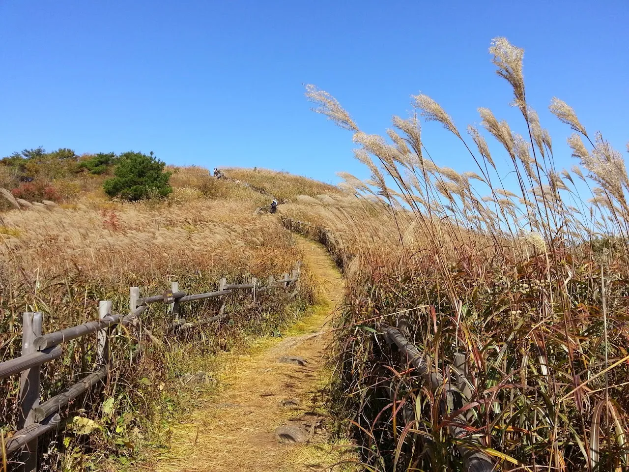 민둥산(정선)