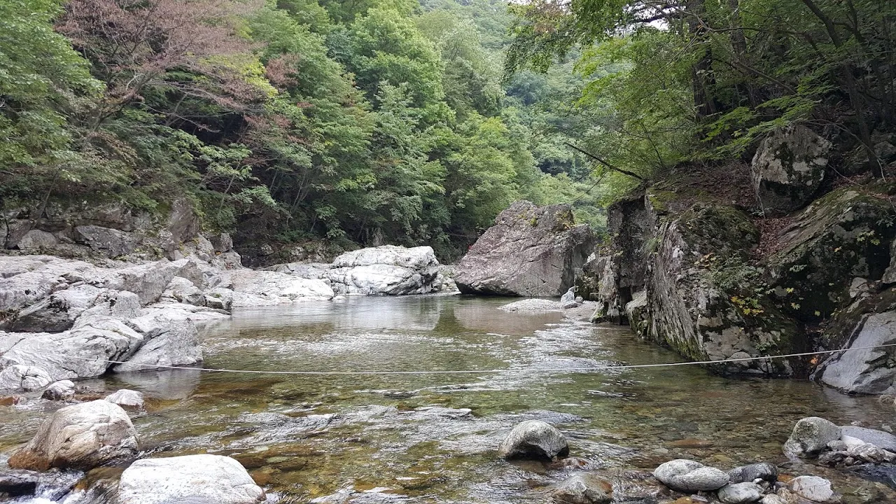 조경동(아침가리골)