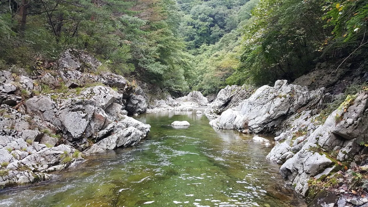 조경동(아침가리골)