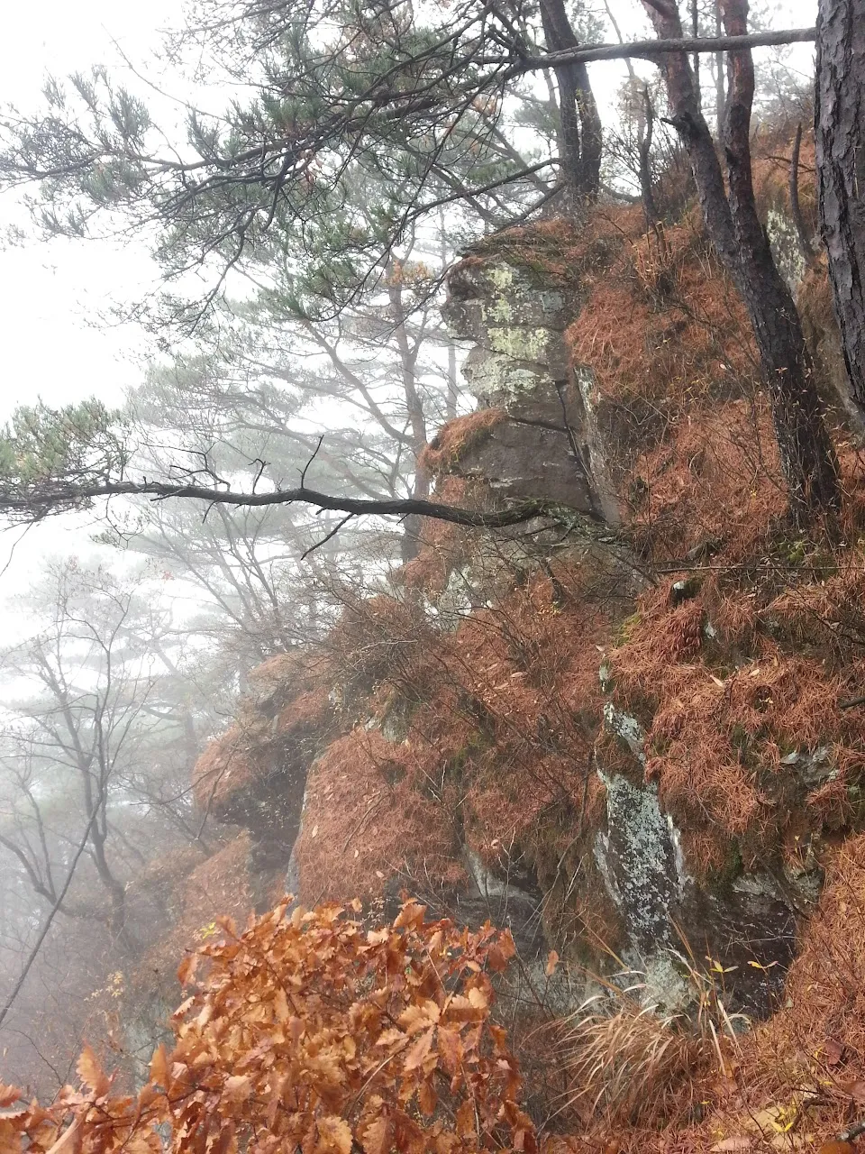 괴산 산막이옛길