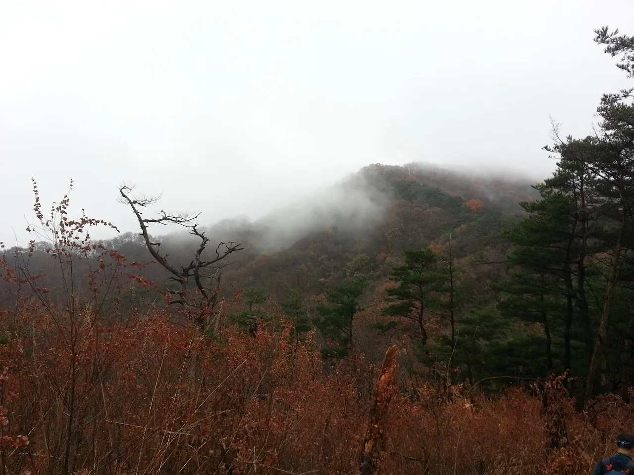 괴산 산막이옛길