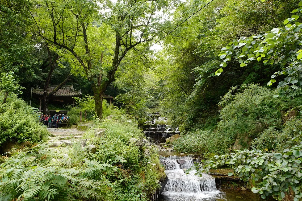 조경동(아침가리골)