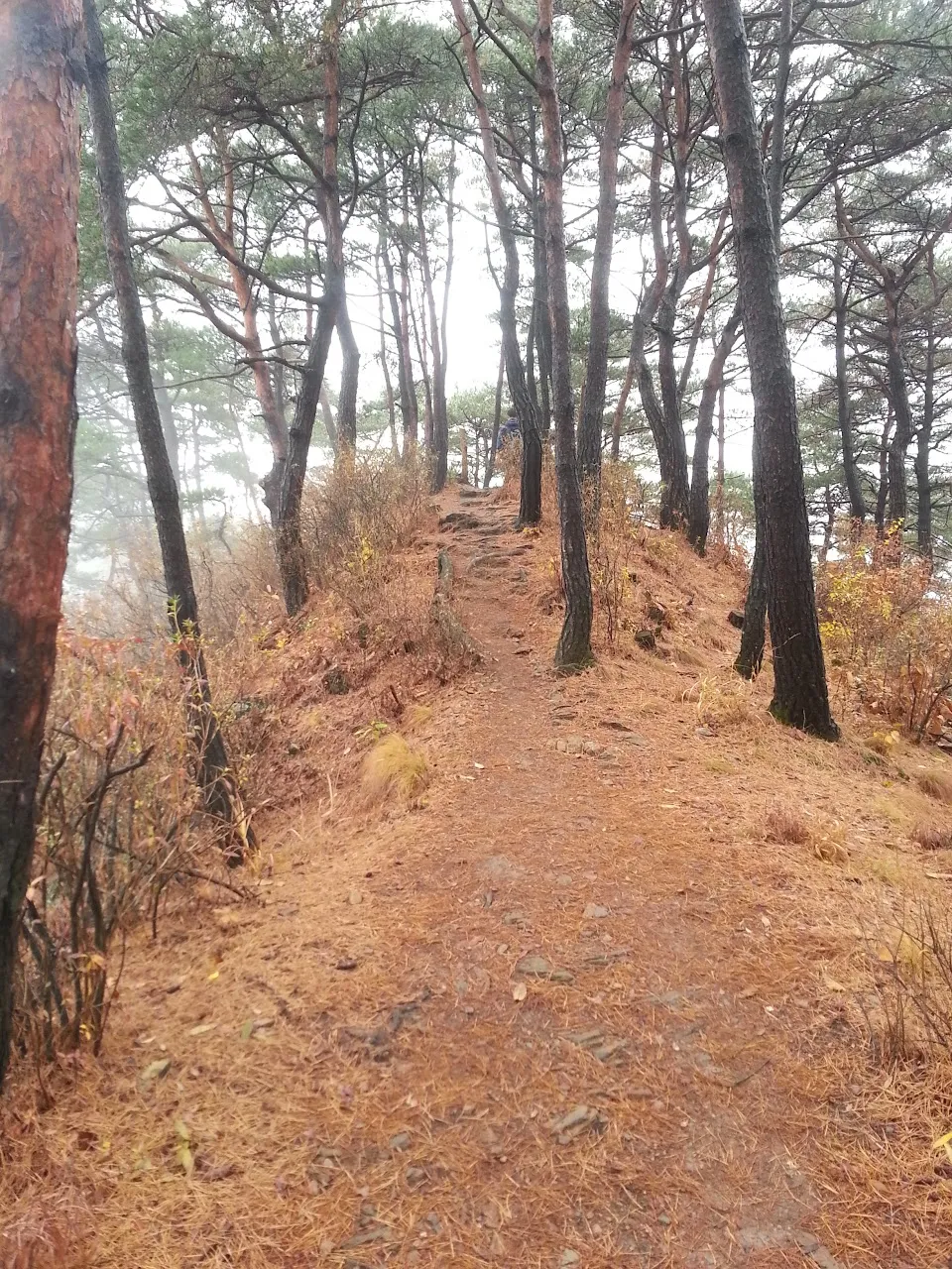 괴산 산막이옛길