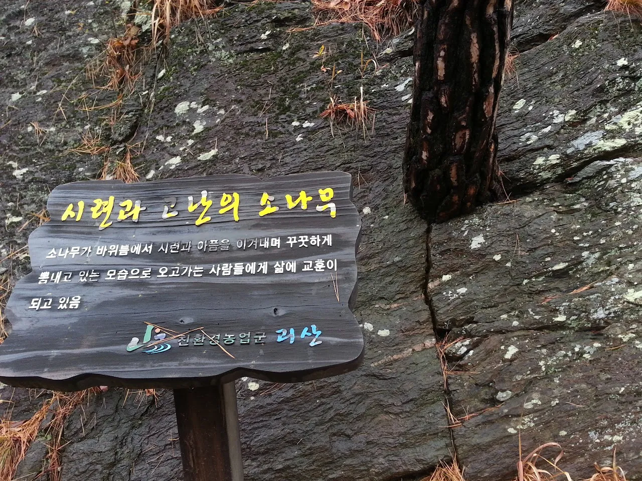 괴산 산막이옛길