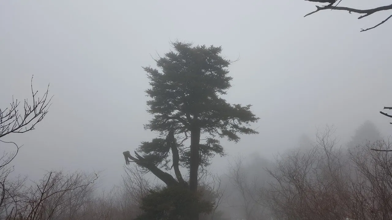 계방산 사진