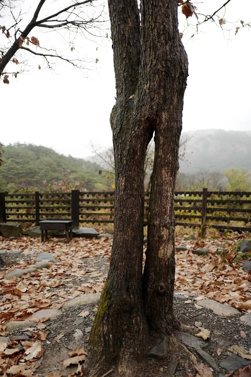 괴산 산막이옛길