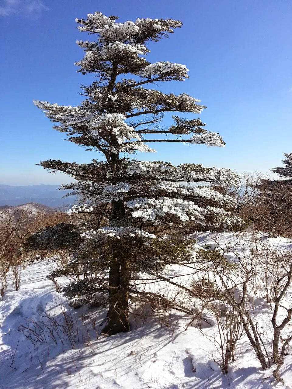 덕유산(향적봉)