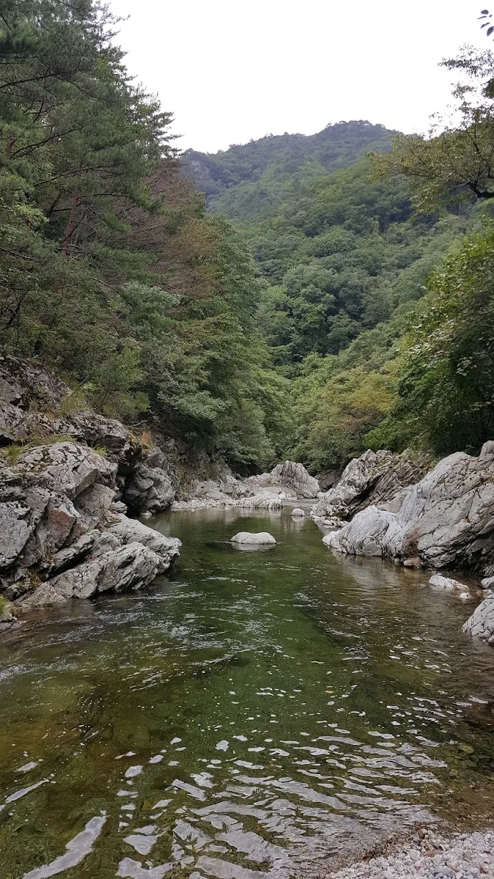 조경동(아침가리골)