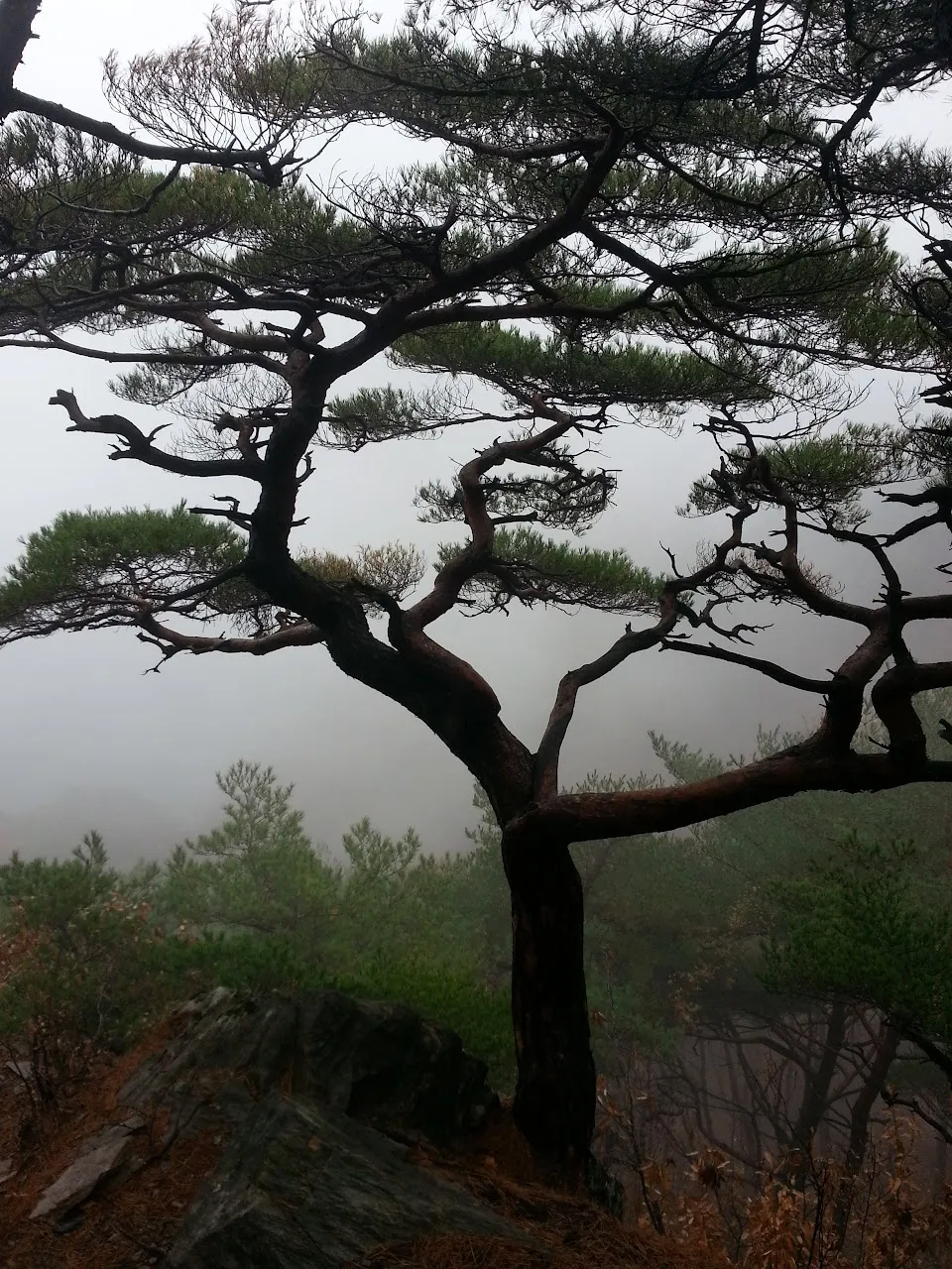 괴산 산막이옛길