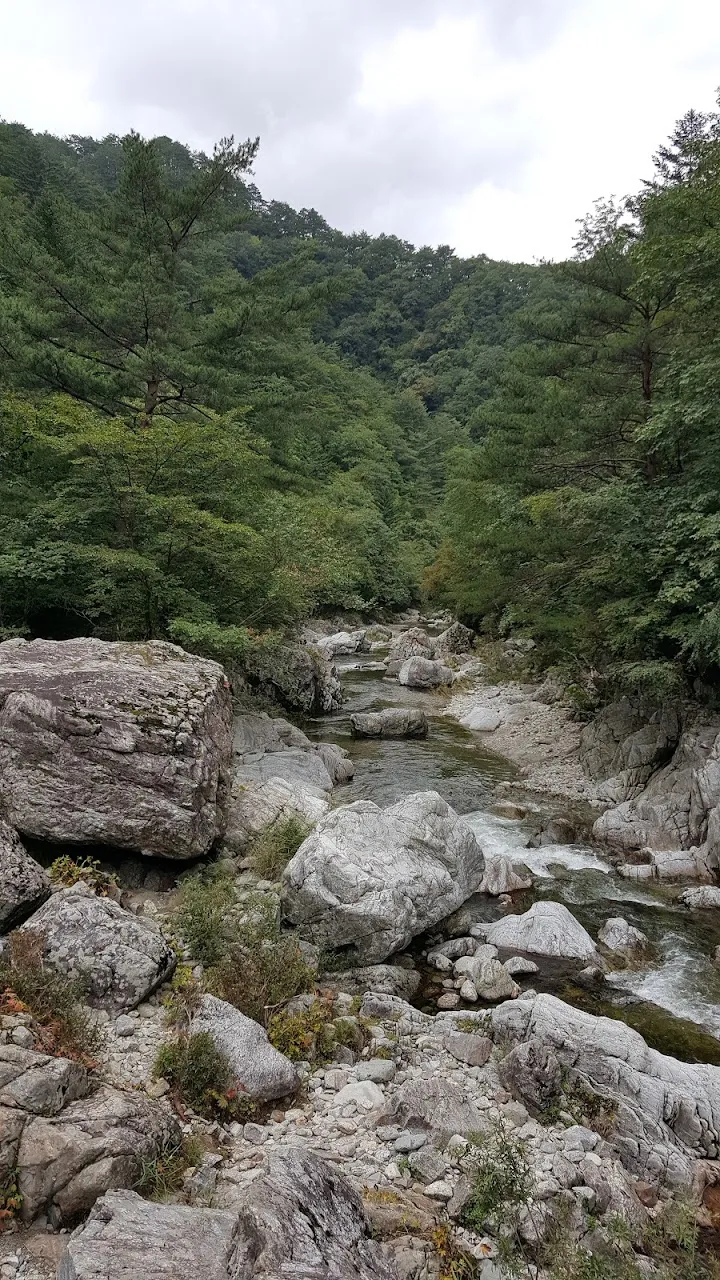 조경동(아침가리골)