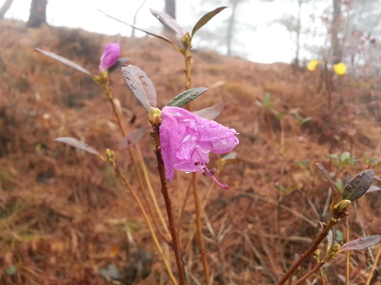 괴산 산막이옛길
