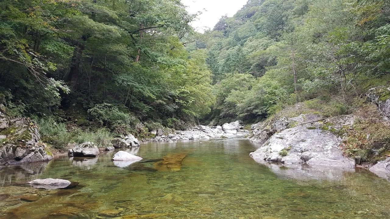 조경동(아침가리골)