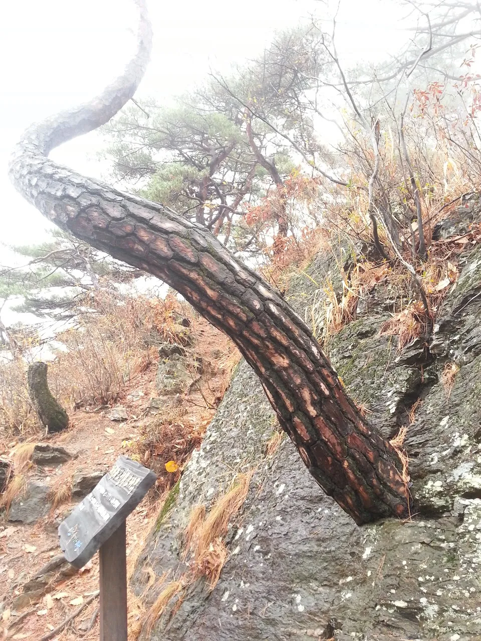 괴산 산막이옛길