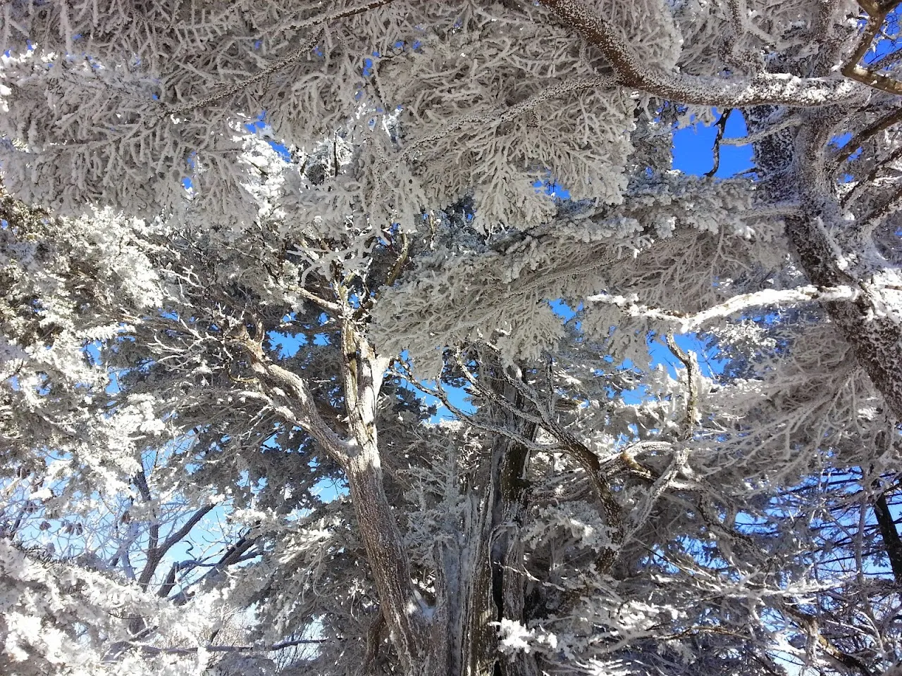 덕유산(향적봉)