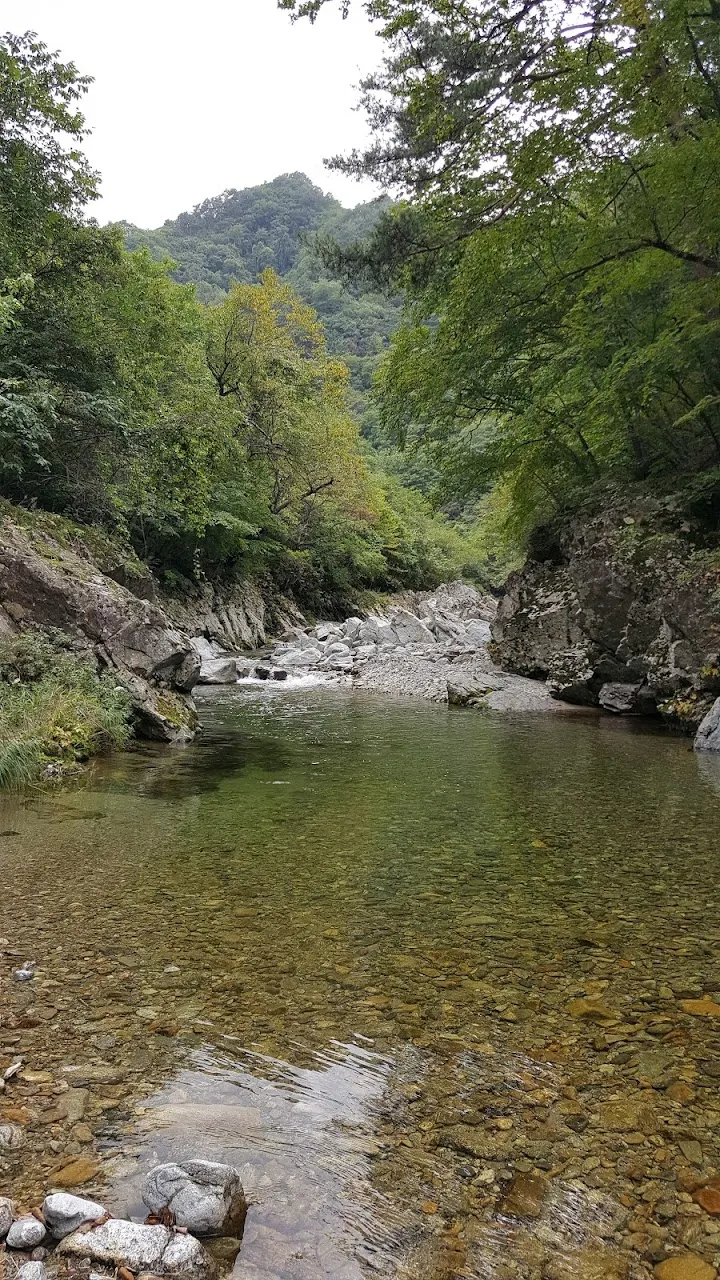 조경동(아침가리골)