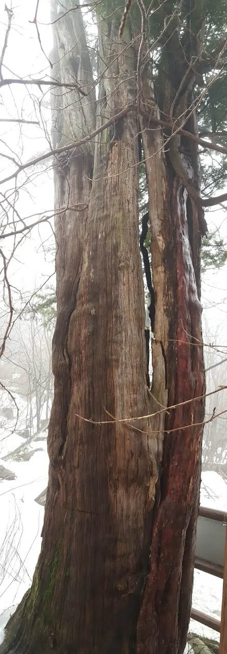 계방산 사진