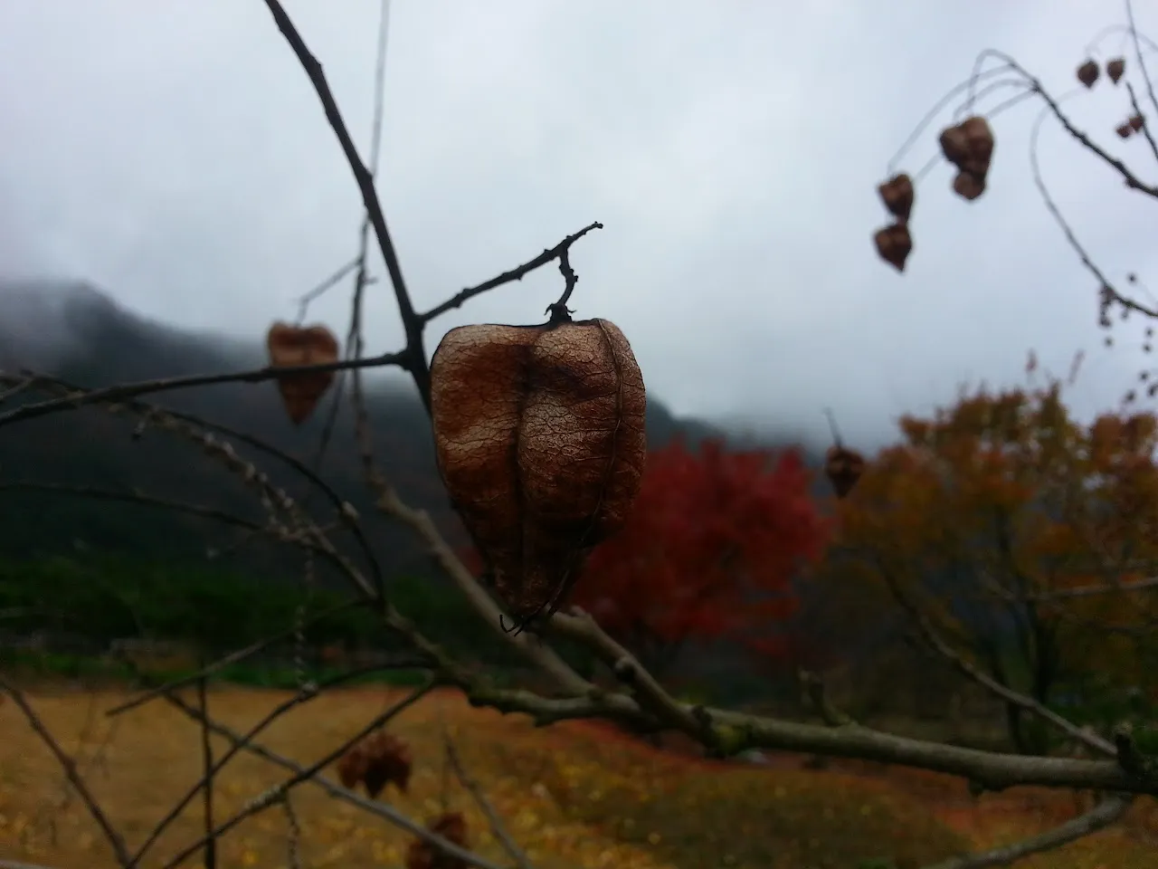 괴산 산막이옛길