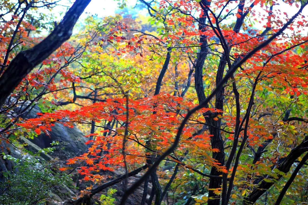 한북정맥 울떼고개-사패산-포대능선-자운봉-우이령