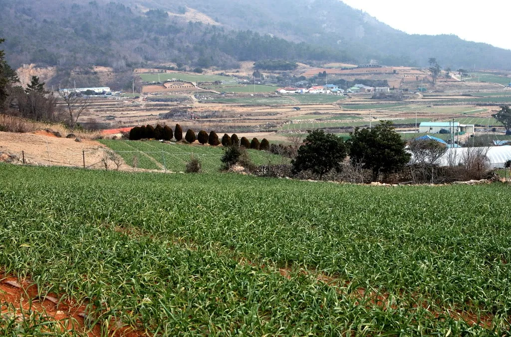 거금도 등산