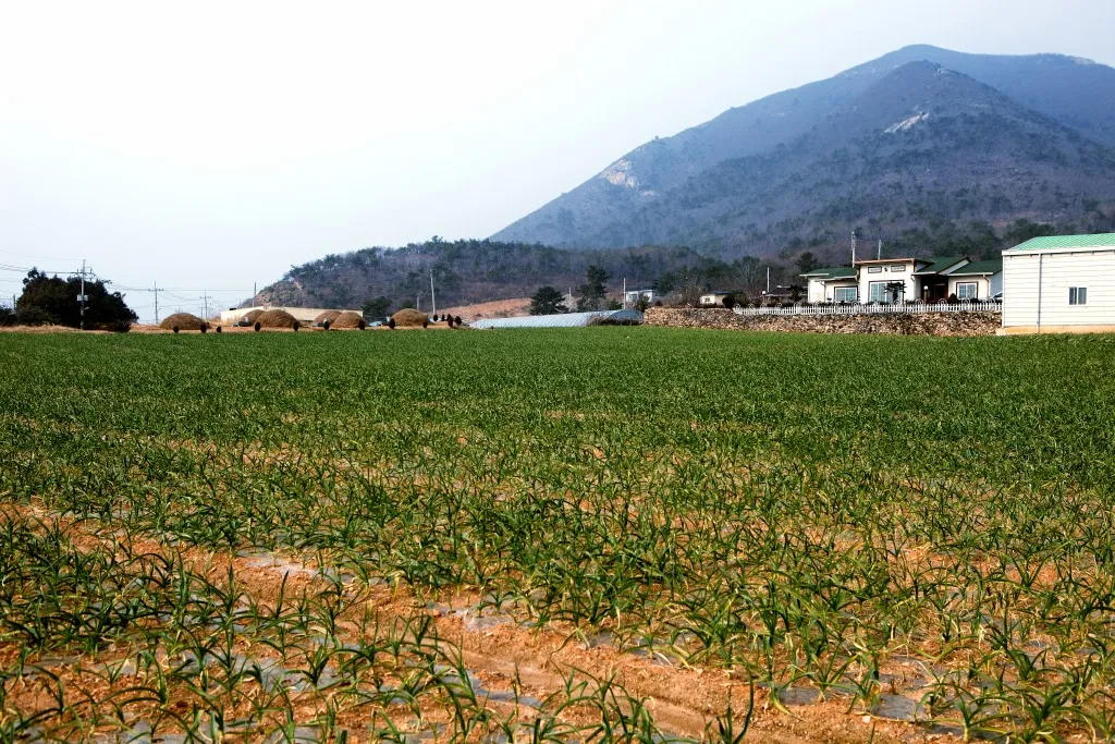 거금도 등산
