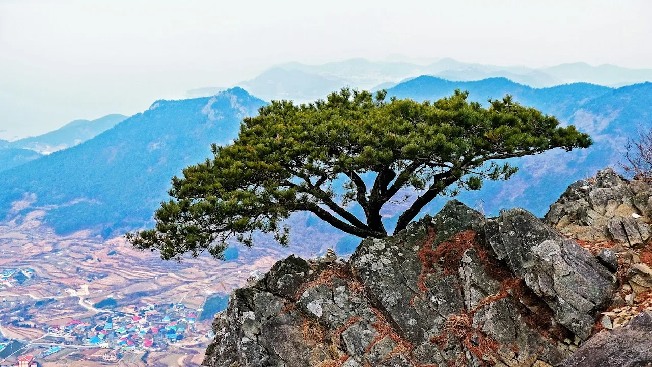 통영 미륵산   미륵지맥 과 바다백리길 종주