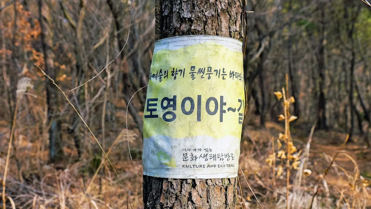 통영 미륵산   미륵지맥 과 바다백리길 종주