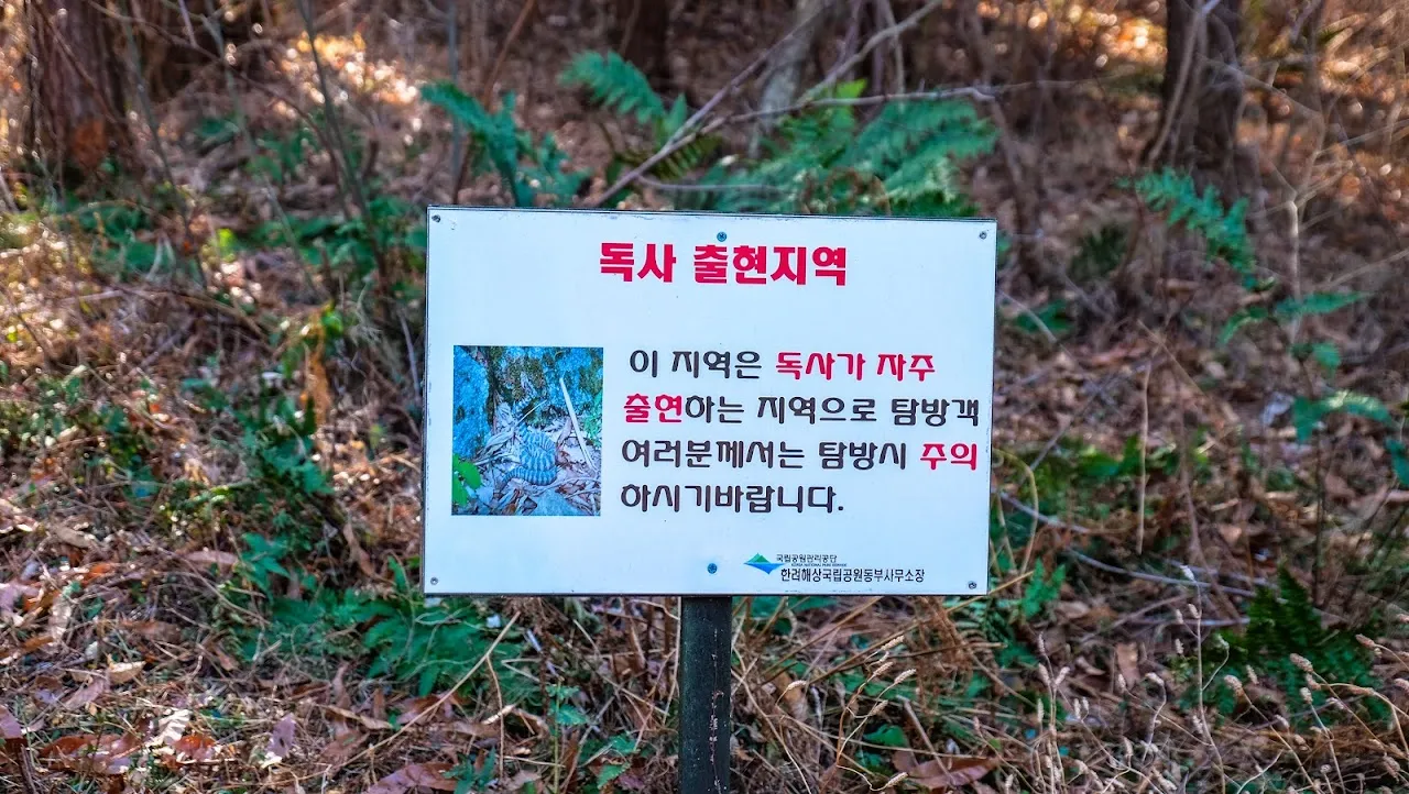 통영 미륵산   미륵지맥 과 바다백리길 종주