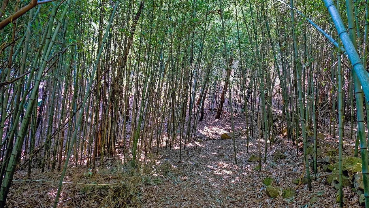 통영 미륵산   미륵지맥 과 바다백리길 종주